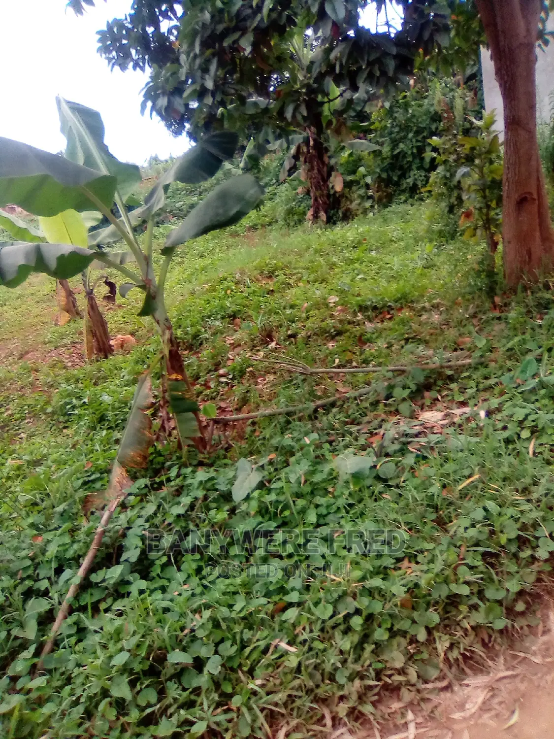 100x50ft at Senge Kawanda Rd