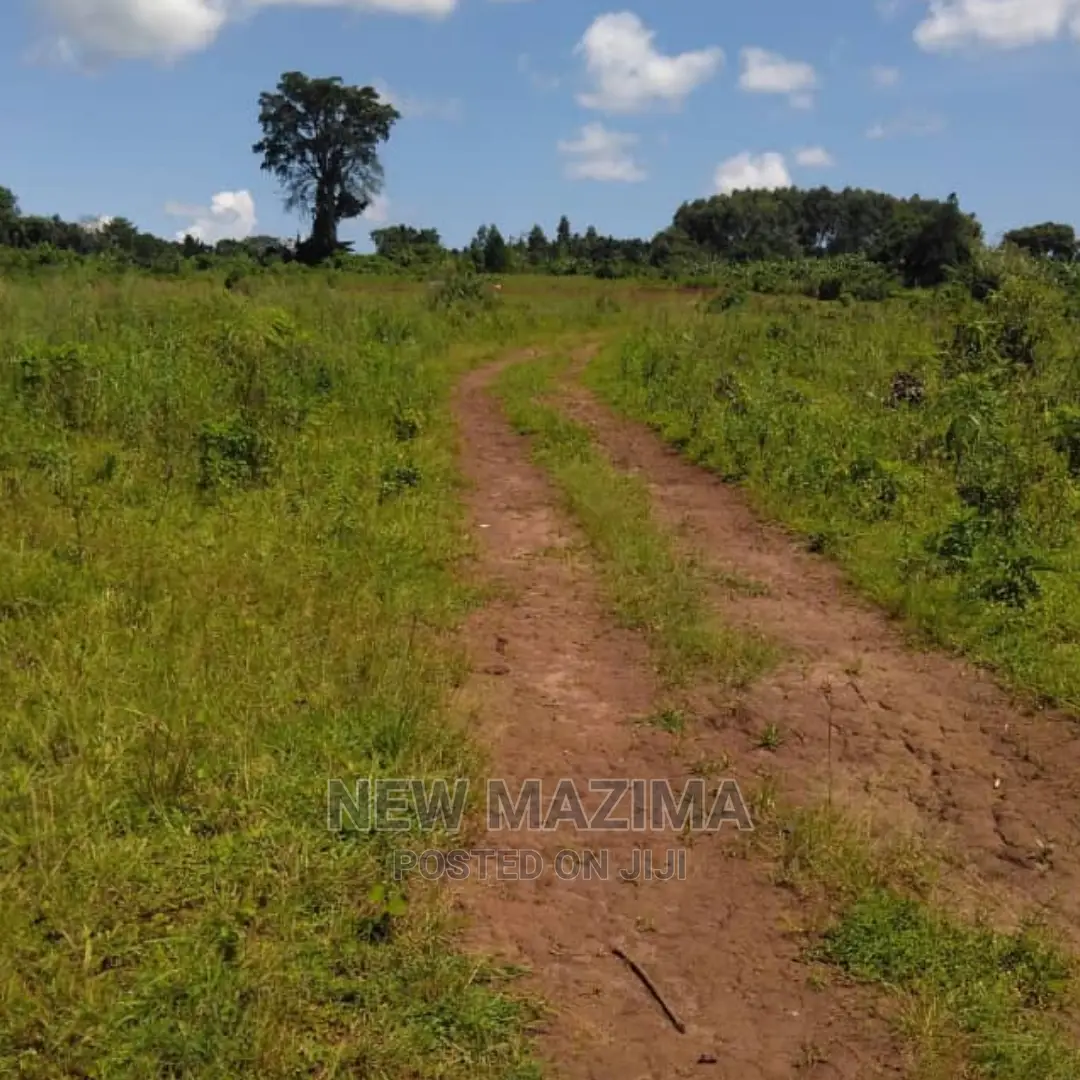 Four Acres on Forced Sale in Mpigi It Has Been on 40m to 31m