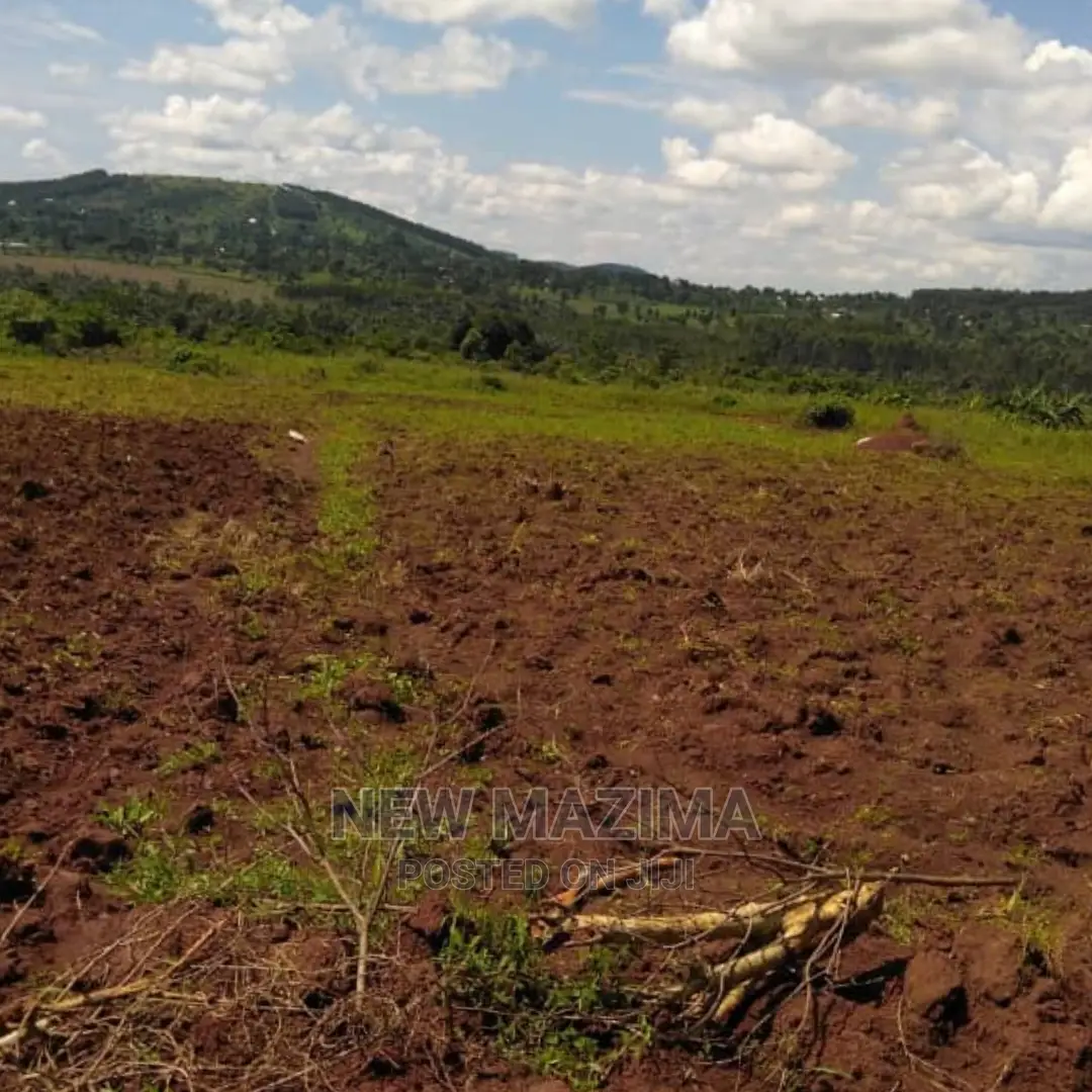 Four Acres on Forced Sale in Mpigi It Has Been on 40m to 31m