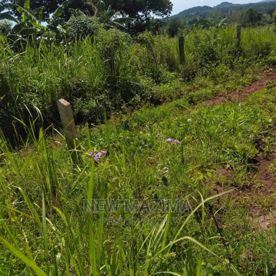 Four Acres on Forced Sale in Mpigi It Has Been on 40m to 31m
