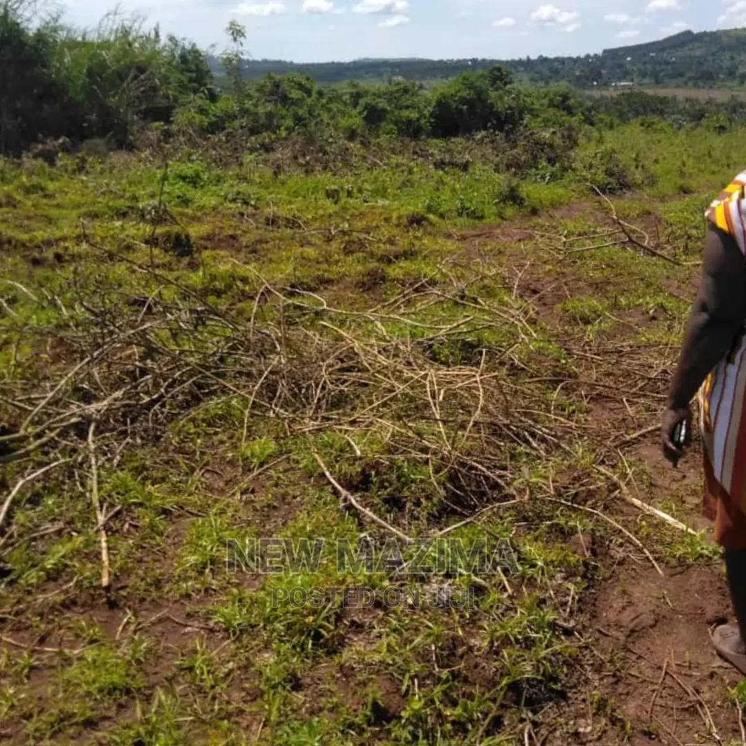 Four Acres on Forced Sale in Mpigi It Has Been on 40m to 31m