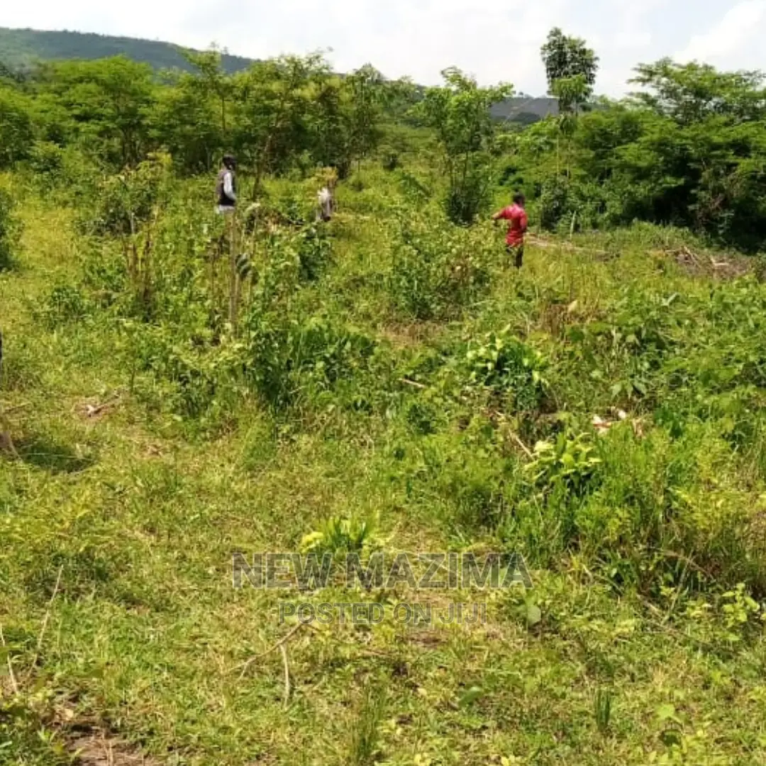 Very Fertile Five Acres on Quicksale in Nakaseke With Tittle