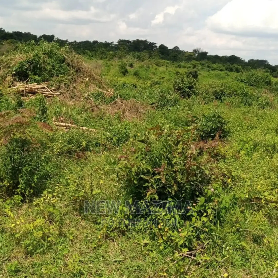 Very Fertile Five Acres on Quicksale in Nakaseke With Tittle