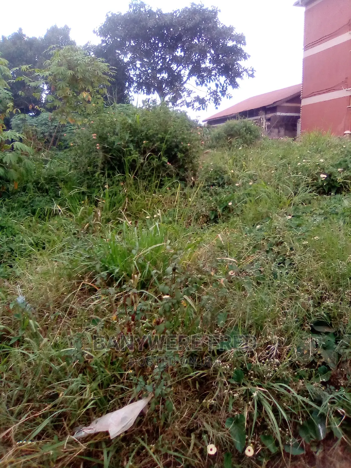 50/100 Plot for Sale in Mukono Nsanja Katosi Road