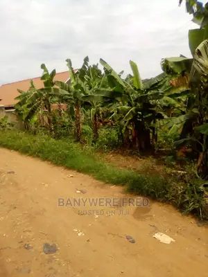 13acres Of Land For Sale In Kiyunga Kamuli District
