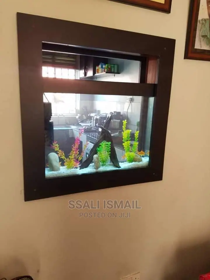 Built in the Wall Aquarium