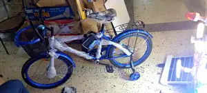 Bikes for Adults
