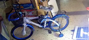 Bikes for Adults