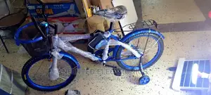 Adult Bike's