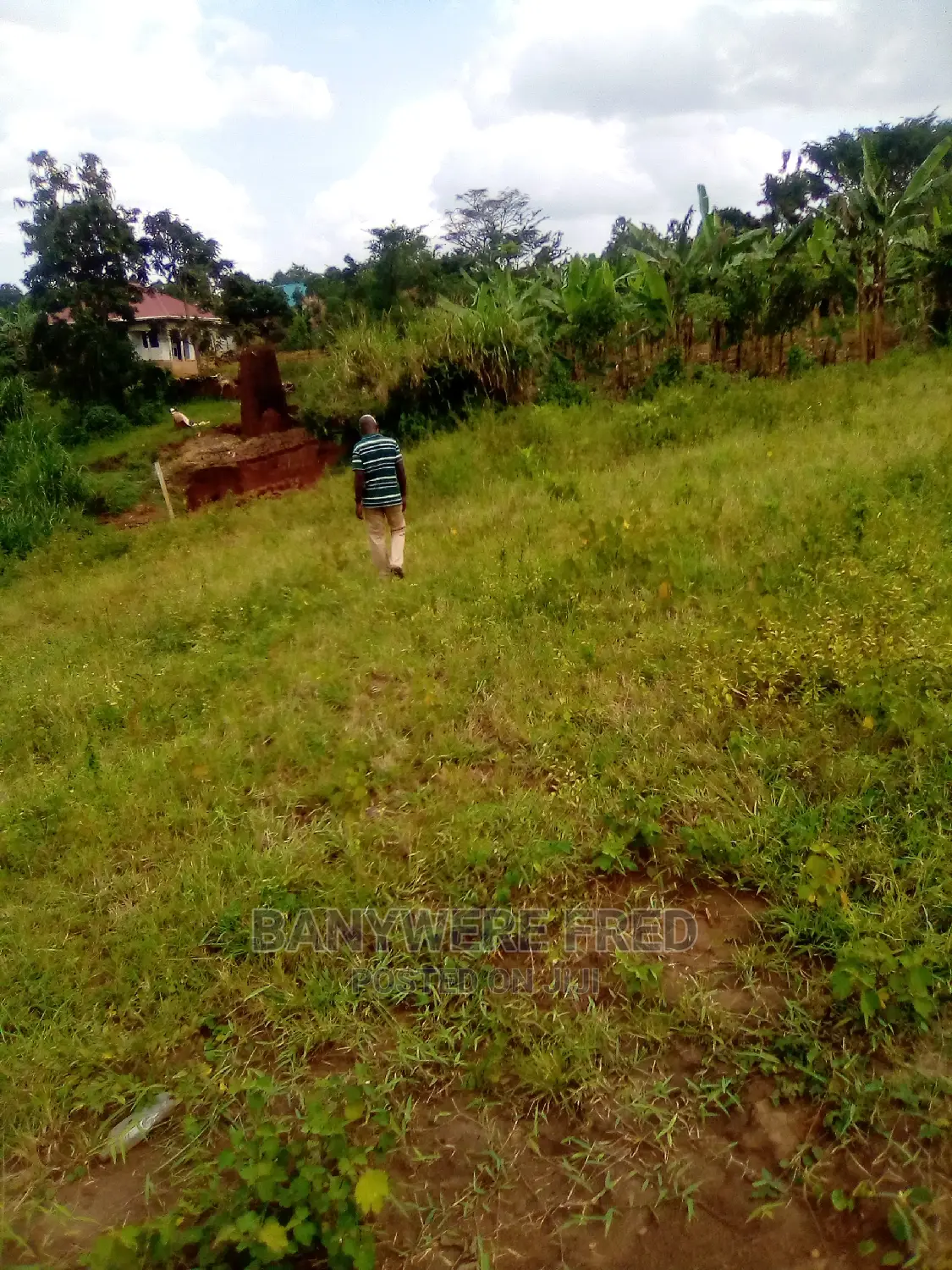 Plot for Sale in Bunyogoga Jogo 50/100