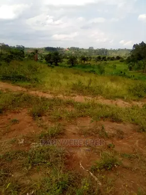 Near Agape Nakagere 50/100 Plot for Sale