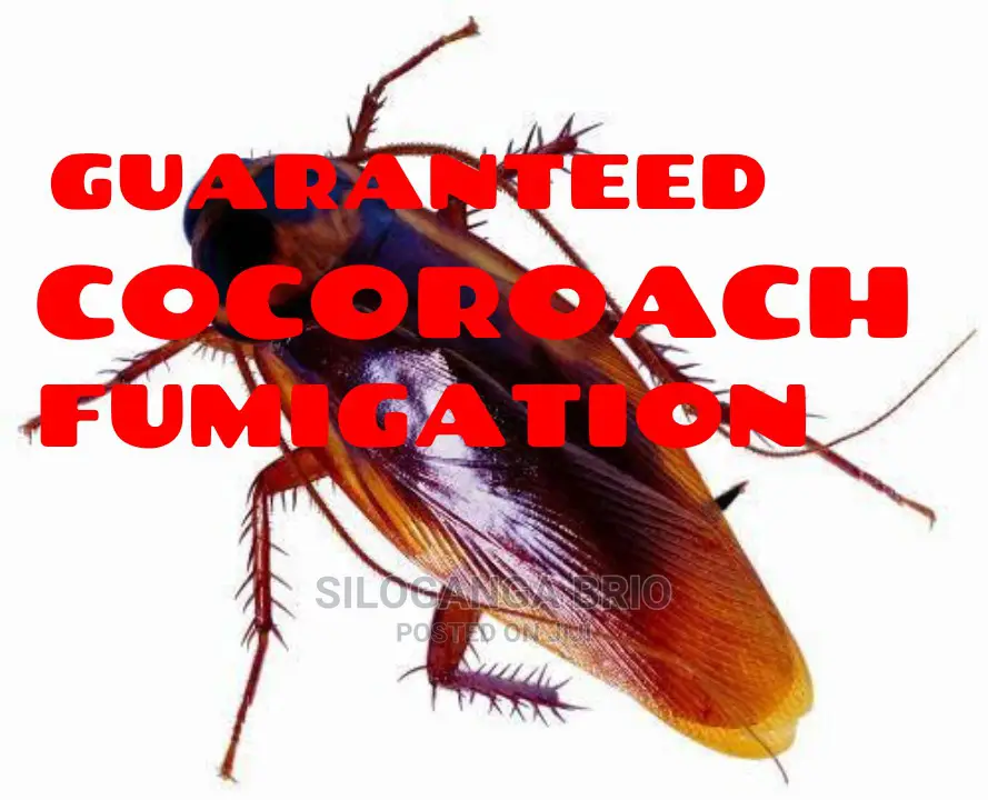 Cocoroach Effective Guaranteed Fumigation