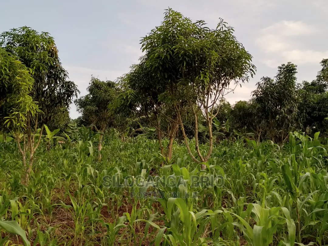 Agronomist