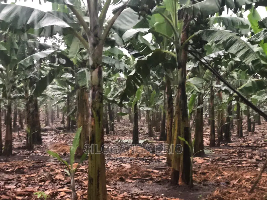 Agronomist