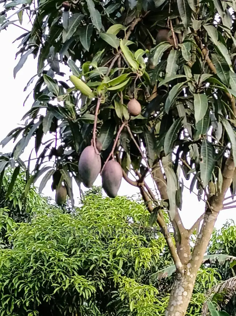 Agronomist