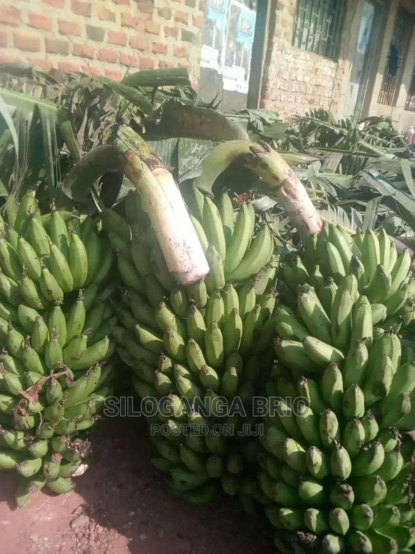 Agronomist