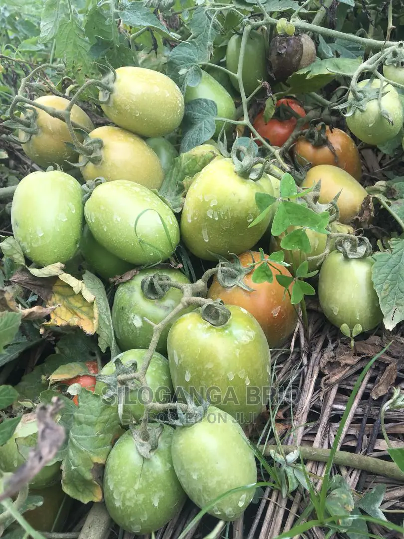 Agronomist
