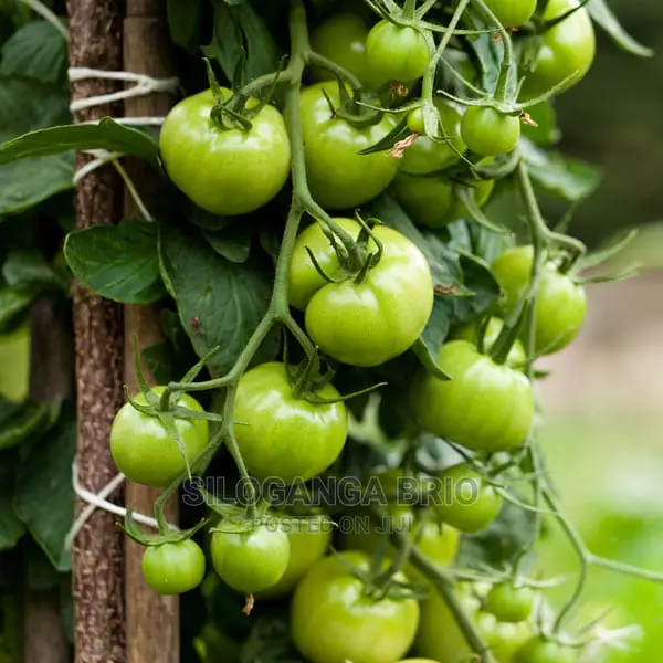 Agronomist