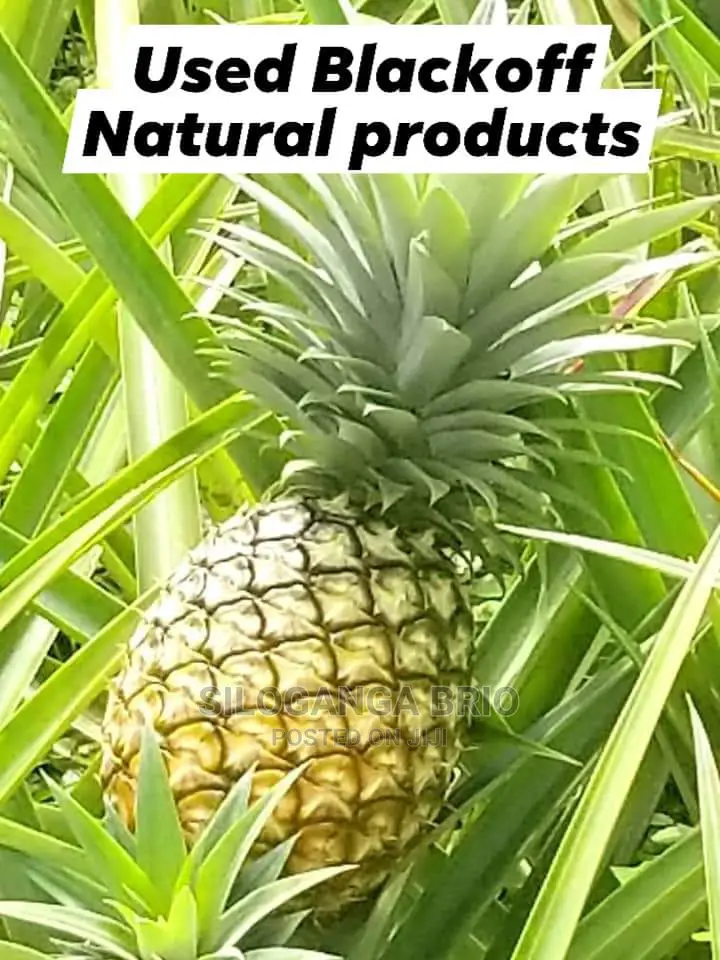 Agronomist