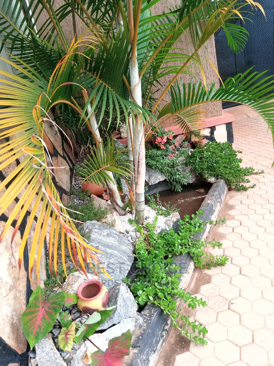 Gardening.