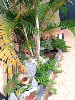 Gardening.