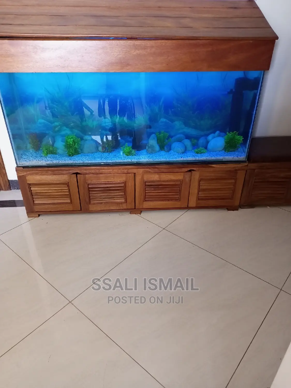 Fabulous and Well Decorated Aquarium