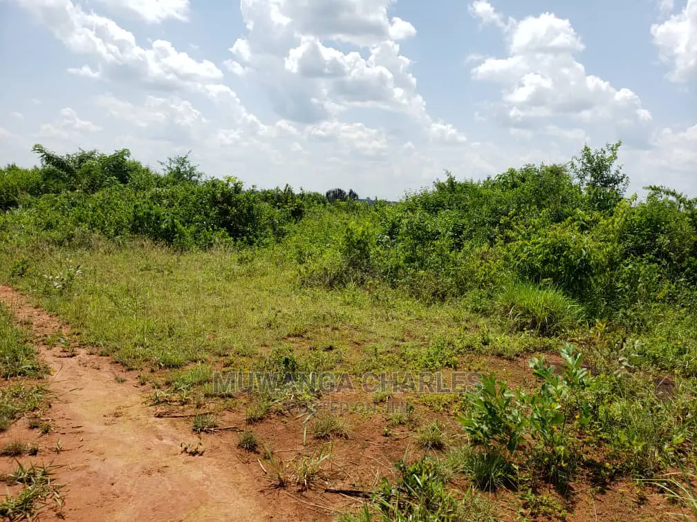 Plots Is Available for Sale Bombo Ndejje