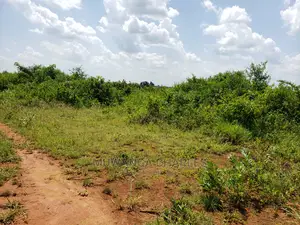 Plots Is Available for Sale Bombo Ndejje