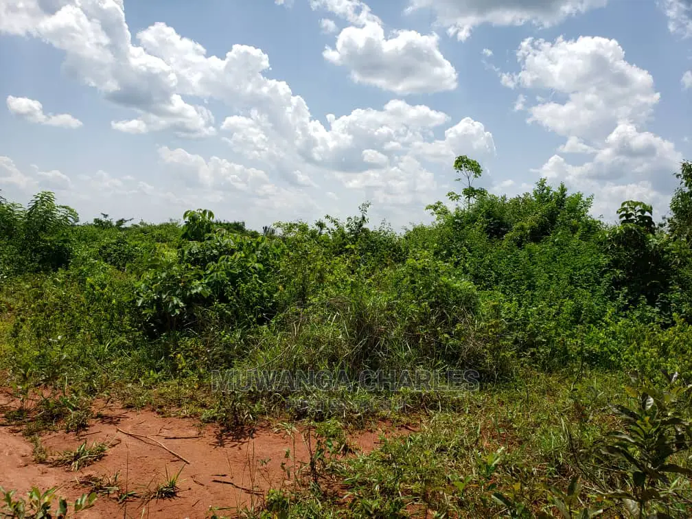 Plots Is Available for Sale Bombo Ndejje