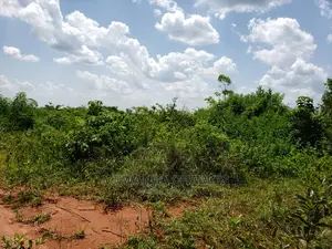 Plots Is Available for Sale Bombo Ndejje