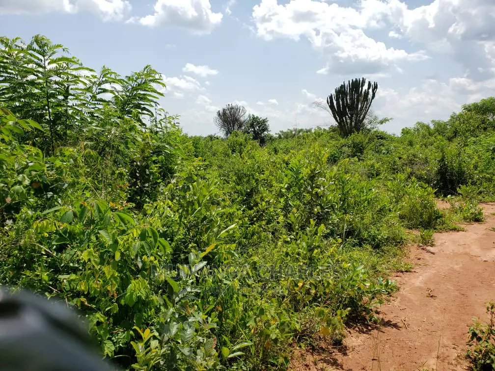 Plots Is Available for Sale Bombo Ndejje