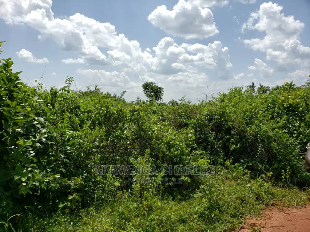 Plots Is Available for Sale Bombo Ndejje