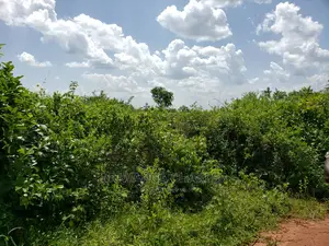 Plots Is Available for Sale Bombo Ndejje