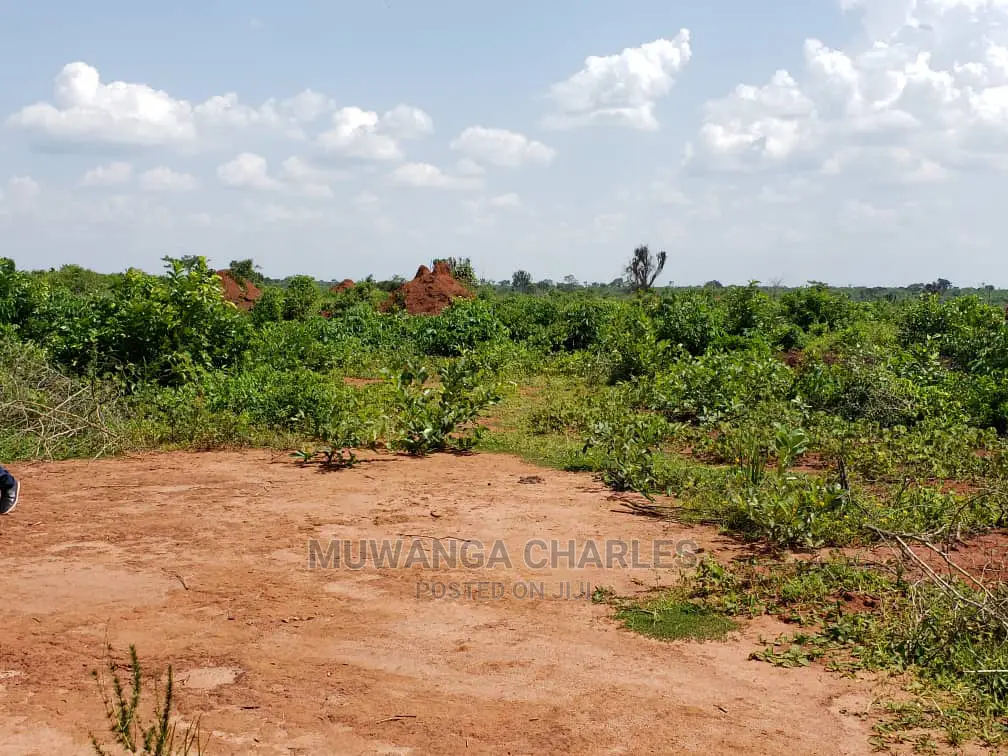 Plots Is Available for Sale Bombo Ndejje
