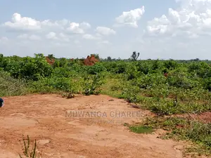 Plots Is Available for Sale Bombo Ndejje