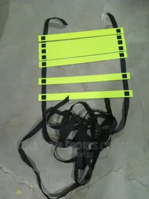 Training Ladders