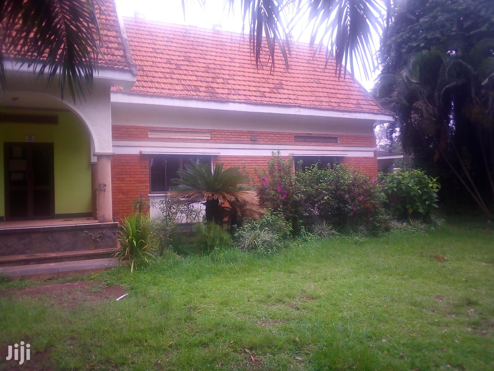 Three Bedroom House In Kololo For Rent