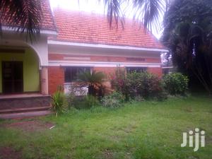 Three Bedroom House In Kololo For Rent