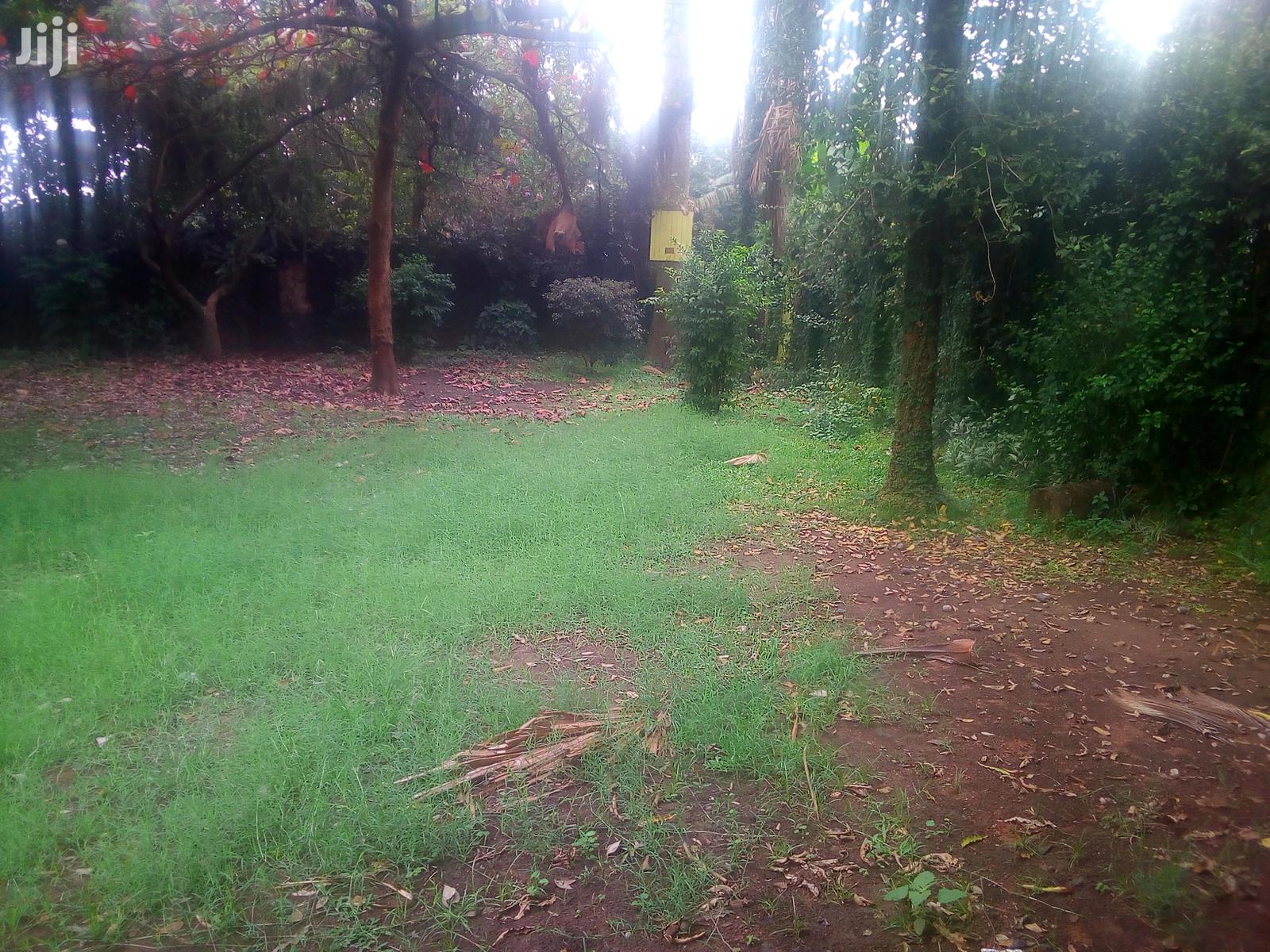 Three Bedroom House In Kololo For Rent