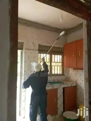 Painting at Affordable Costs.