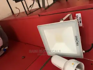Flood Light 50wt Daylight