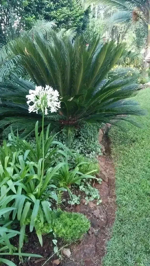 Professional Gardening Services.