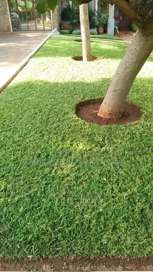 Landscaping Services