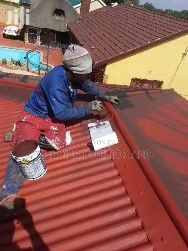 House Roofing Professional