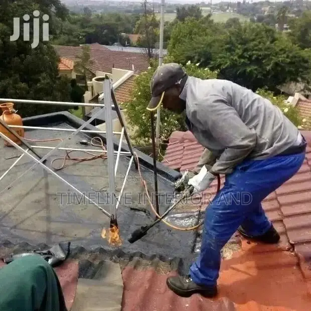 House Roofing Professional