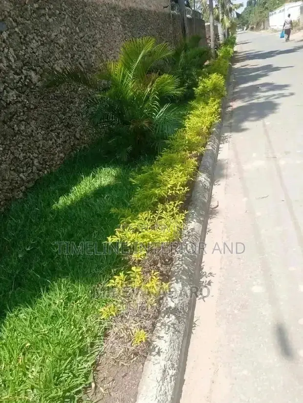 Compound Gardening and Maintenance