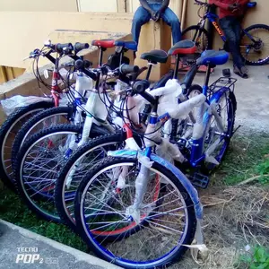 Adults Bikess