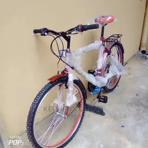 Adults Bikess