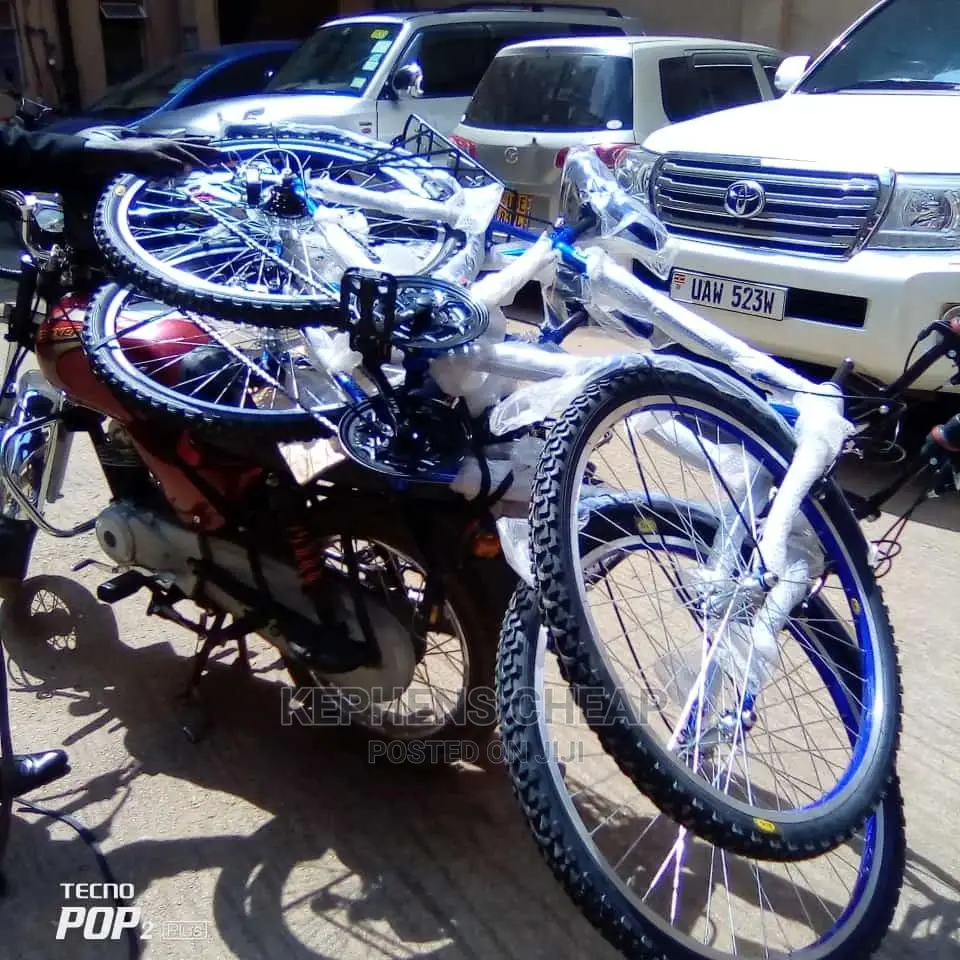 Adults Bikess
