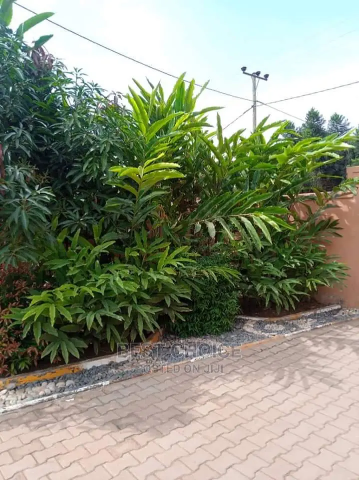 Land Scaping Experts.